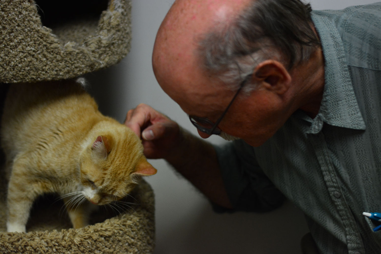 Humane Society Volunteer -- Jenny Jay-1.jpg